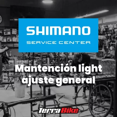 Mantención light ajuste general