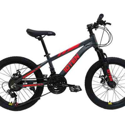 BICICLETA ARO 20 10TEN NIÑO GREY/RED 25011