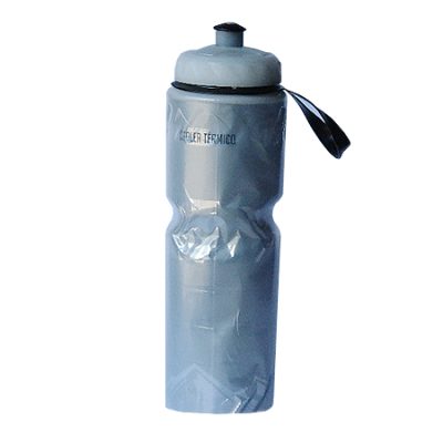 BOTELLA INSULATE SBK 650ML SILVER