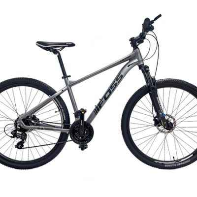 BICICLETA ARO 29 FOSS ZEPIK T/L 19 24V ALUMINIO GRIS