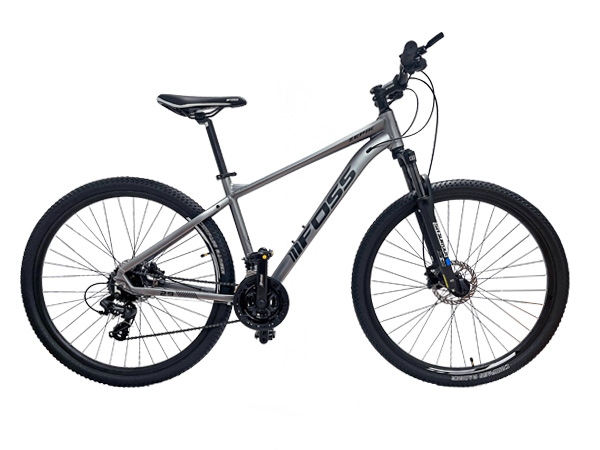 BICICLETA ARO 29 FOSS ZEPIK T/L 19 24V ALUMINIO GRIS