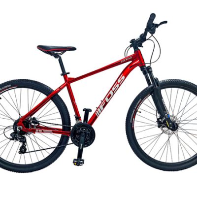 BICICLETA ARO 29 FOSS ZEPIK T/L 19 24V ALUMINIO GRIS/ROJO